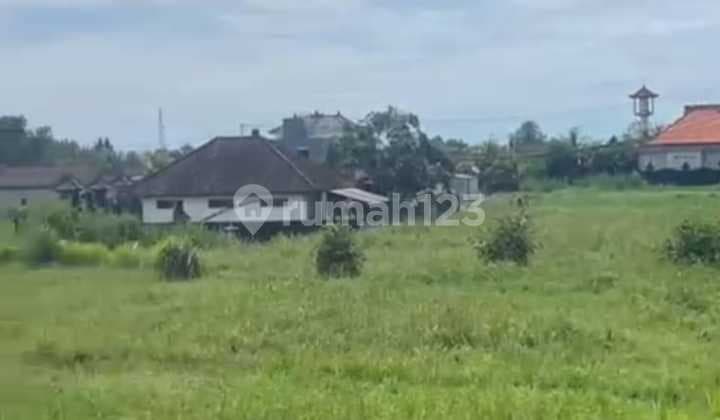 Rice Field View Land For Sale Freehold In Kedungu