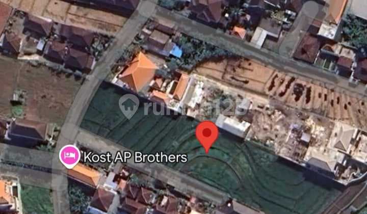 Land Lease Or Rent 10 Are In The North Canggu Area