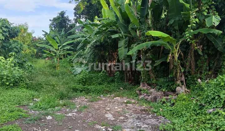 Dijual Murah Tanah Di Kerobokan Kaja Bali