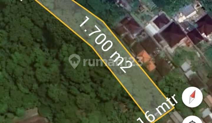Jungle And Riverside Land Lease Or Rent 17 Are In Buwit