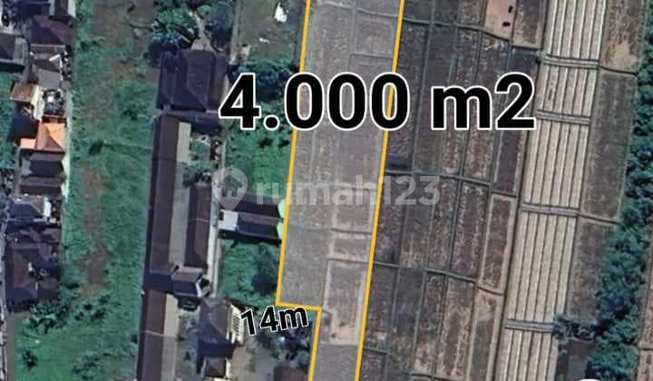 Dijual Tanah Freehold 40 Are di Kapal Mengwi