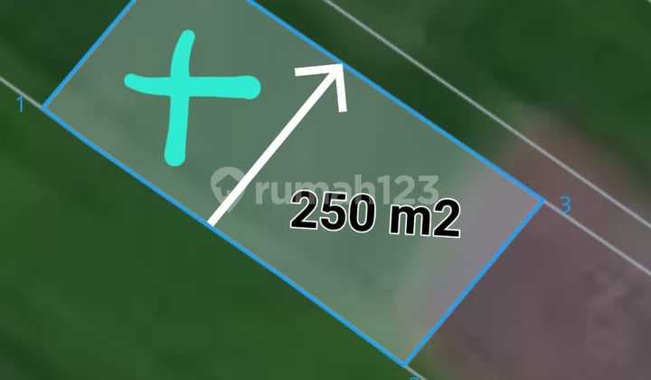 For Sale Strategic Land Near the Beach in Kedungu