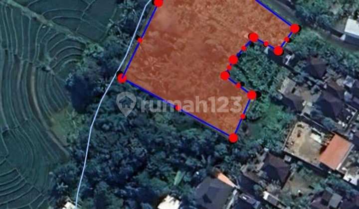 Tanah Riverside & hutan Sewa 10 are di Kaba Kaba