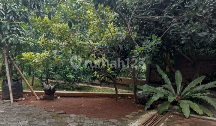 Tanah di Lokasi Emas Grade A dibawah NJOP Jagakarsa Jakarta Selatan