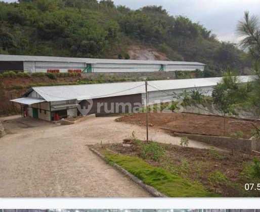 DIJUAL KANDANG AYAM (SIAP PRODUKSI), CIBATU, GARUT >>DN DIJUAL KANDANG AYAM (SIAP PRODUKSI), CIBATU, GARUT >>DN