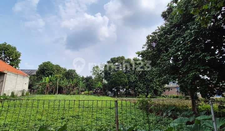 2.1jt Pedurenan Gn. Sindur Tanah 1513m² Investasi