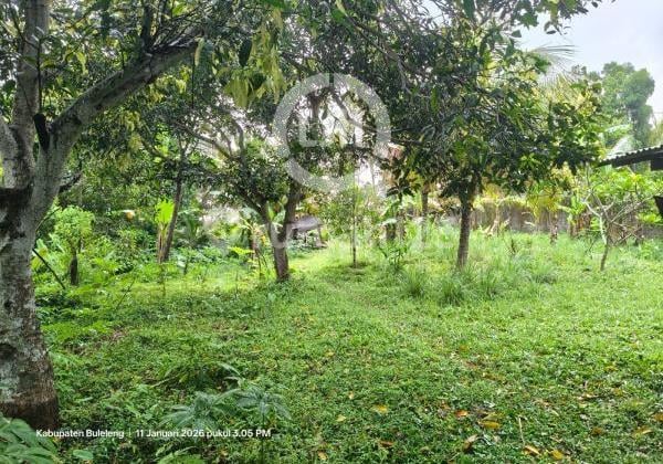 Tanah di Singaraja Bali Dekat Bedugul