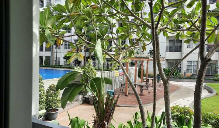 Apartemen Cantik Lantai Bawah Studio Saveria Pool View Dan Garden Lantai Rendah
