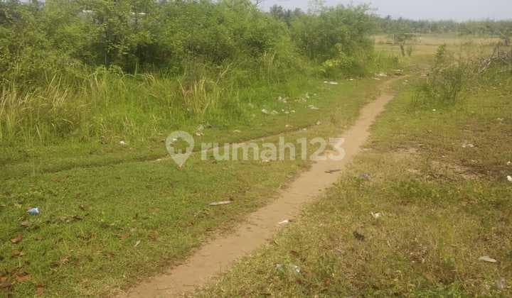 Dijual Rumah Dengan Luas Tanah 500 M2 Dekat Pantai Malingping