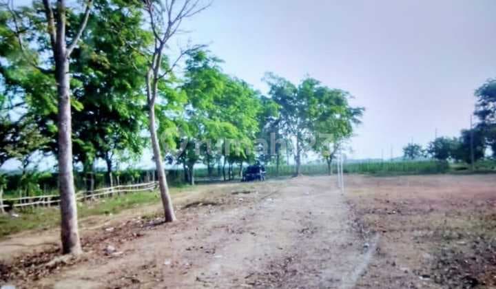 Land for Sale in Sukamandi, Subang, West Java