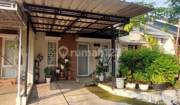 Dijual Rumah Baru Brandnew Murah di Cluster Pesona Rorotan Jakarta Utara Siaphuni Minimalis Modern