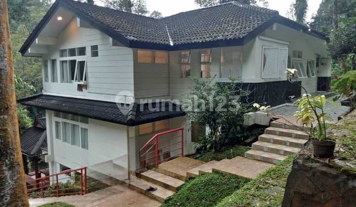 Vila Di Mega Mendung Lokasi Bagus Cocok Untuk Healing