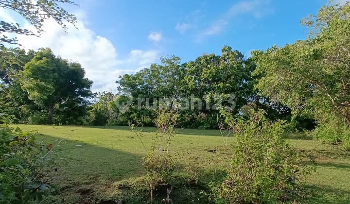 For Sale Jimbaran Hill Land