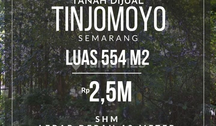 MURAH! TANAH DEKAT KAMPUS 554 m² SHM COCOK UNTUK KOS-AN MURAH! TANAH DEKAT KAMPUS 554 m² SHM COCOK UNTUK KOS-AN