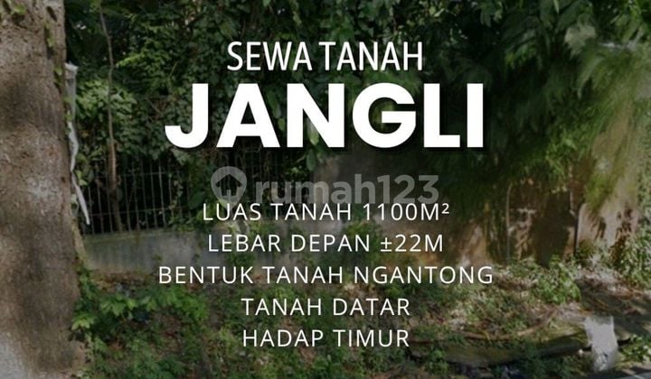 Tanah Datar Jangli Ada View ! Cocok Untuk Cafe, Lebar Depan 22m