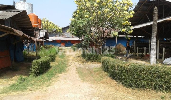 Dijual Tanah Di Bantar Gebang Bekasi Lokasi Sudah Ramai Penduduk,tanah Sudah Siap Pakai, Murah Banget ***mel