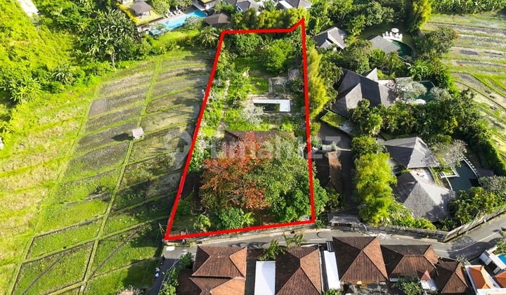 For Sale: Land with Green Rice Field View, Strategic Location Near Seminyak and Canggu