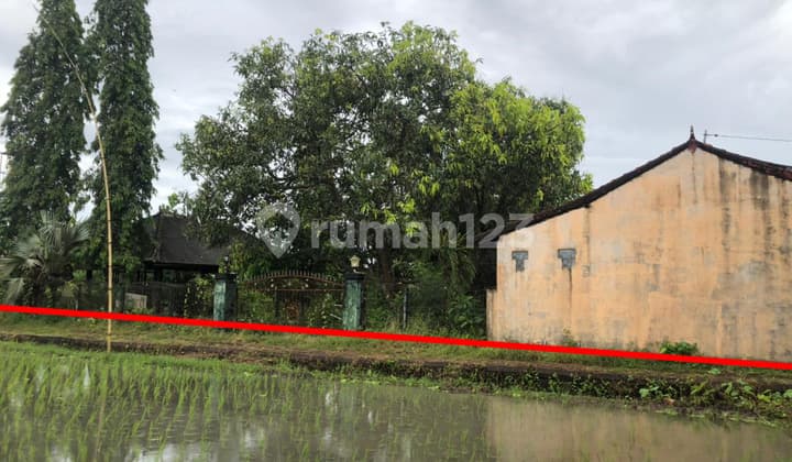 Tanah Jual Bonus bangunan ex Rumah Makan Lokasi Nyaman View Sawah Yang hijau di Dalung Tanah Jual Bonus bangunan ex Rumah Makan Lokasi Nyaman View Sawah Yang hijau di Dalung