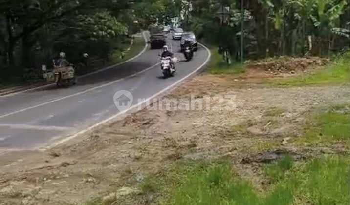 Dijual Kavling Tanah Gunung Kidul Wonosari Komersial