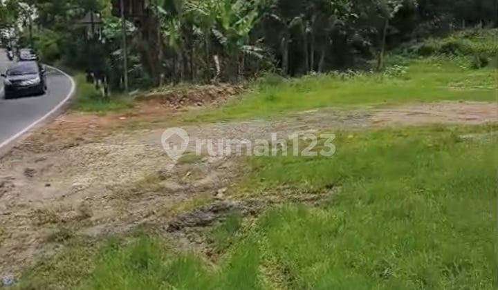 For Sale Commercial Land Plot Wonosari Yogyakarta