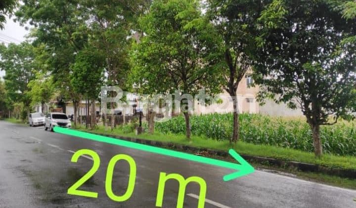 TANAH SAWAH LUAS DAN PINGGIR JALAN RAYA