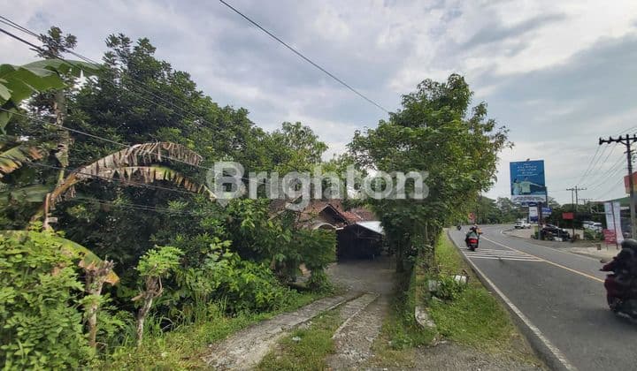 WIDE LAND BONUS HOUSE FACING WONOSARI MAIN ROAD YOGYAKARTA