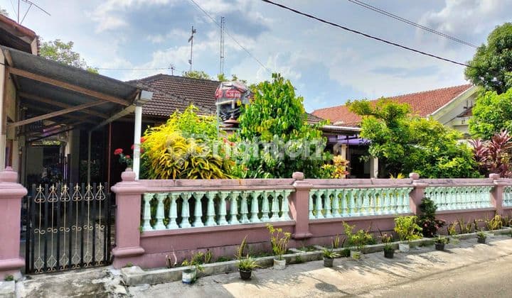 Rumah Tanah Luas Di Pinggir Jalan Aspal Gombong Jawa Tengah