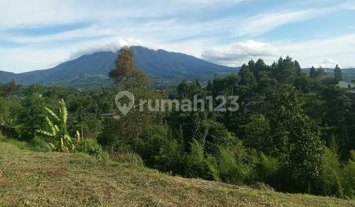 Murah Tanah Puncak Cisarua Best View Gunung 2,5 M