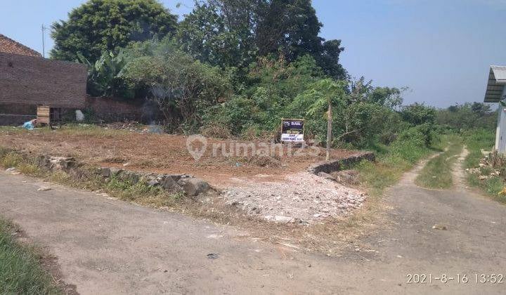 Tanah Petir Dekat KP3B dan Pandeglang