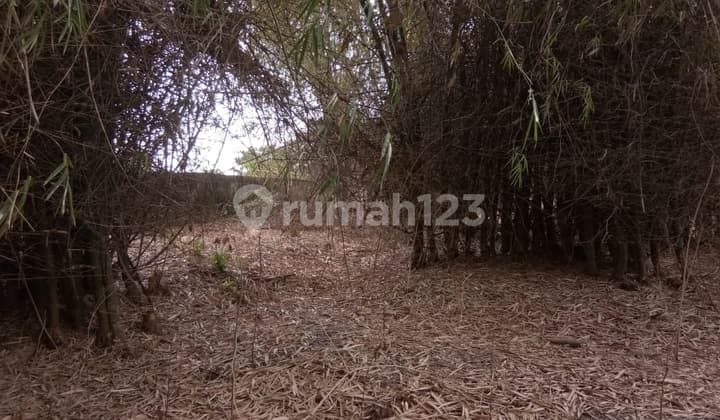 Tanah Bangkalan Socah Madura Nego Sampai Deal