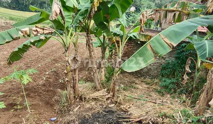 Tanah Strategis Sudah di Aspal Tegal Bunder Cilegon