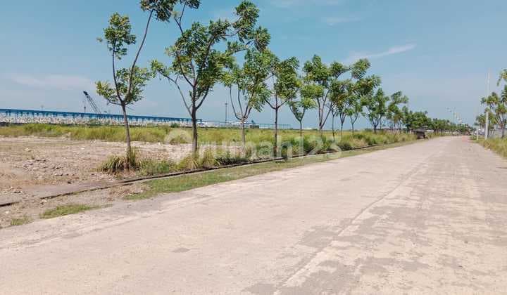 Tanah Bojonegara Nempel Laut Cocok Untuk Jeti