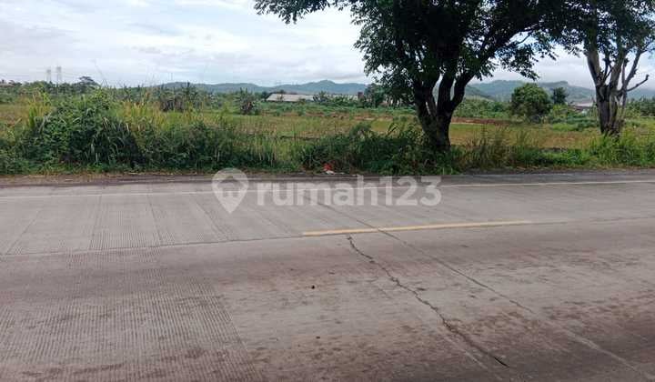 Tanah Luas Bojonegara Akses Tol Cilegon Timur