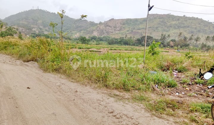 Tanah Bojonegara Nego Sampai Deal