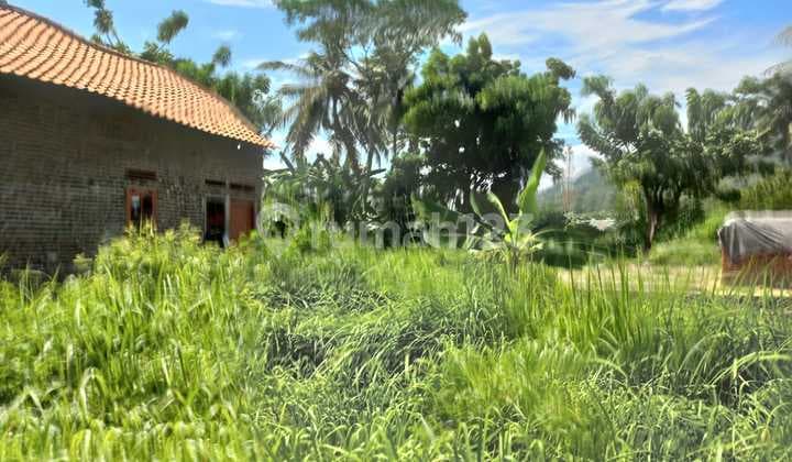Flat Land in Pejaten Kramatwatu, Suitable for Building a Residence