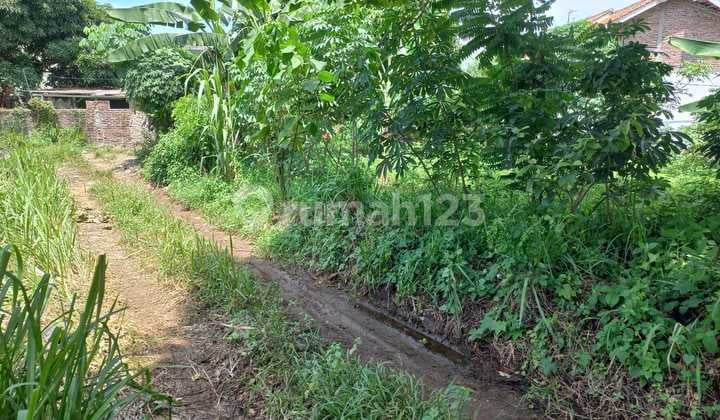 Tanah Kavling Pejaten Kramatwatu Nego Sampai Deal