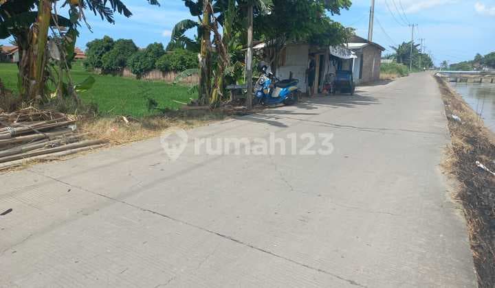 Tanah Sawah Produktif Kramatwatu Nego Halus