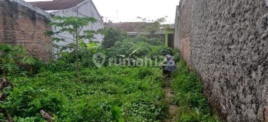 Tanah Kavling Taman Pipitan Indah Nego Sampai Deal Tanah Kavling Taman Pipitan Indah Nego Sampai Deal