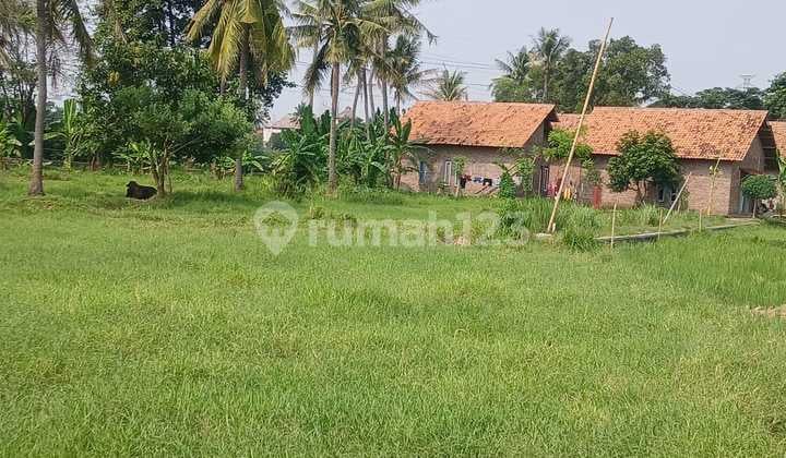 Tanah Harga Miring Link Kaligandu Nego Halus