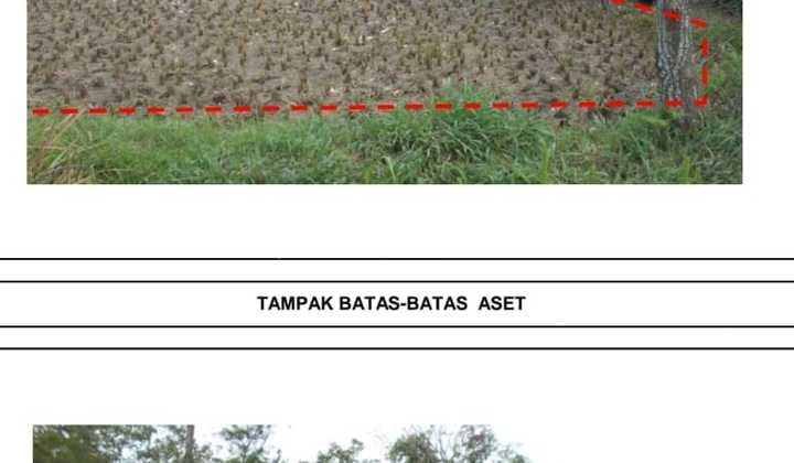 Tanah sawah batorasang madura nego sampai deal