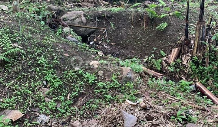 Tanah Mancak 4 Hektar Harga Miring Nego Halus