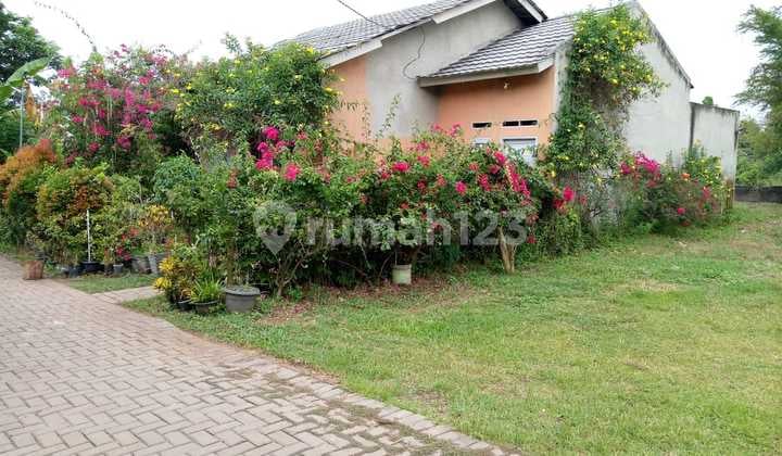 Hunian Minimalis Bukit Batu Kramatwatu Nego