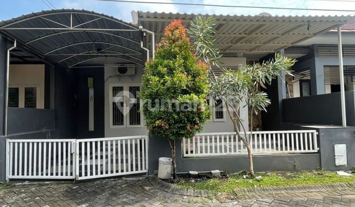 Jual Rumah Koala Regency 1 Lt Strategis Hadap Selatan Siap Huni