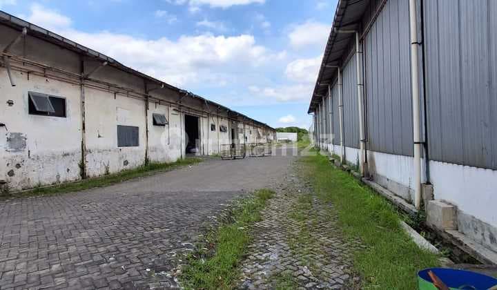 Dijual Tanah Driyorejo