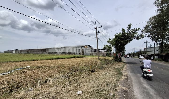 Dijual Tanah Kedamean Gresik