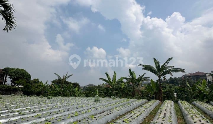 Kavling 321 m2 Daerah Padasaluyu Bandung