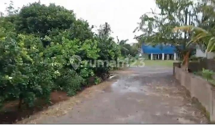 FOR SALE FARM LAND IN SUBANG WEST JAVA