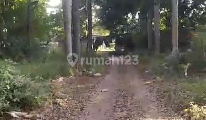 Dijual Tanah Di Pasar Kemis