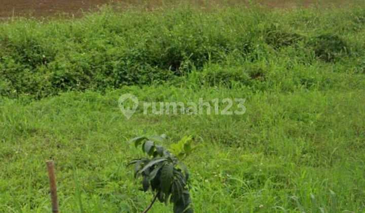 Dijual Tanah Industri Gunung Putri