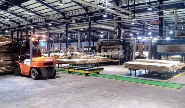 DIJUAL PABRIK KAYU DI JOMBANG JAWA TIMUR